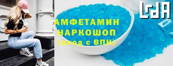 PSILOCYBIN Алзамай