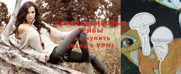 PSILOCYBIN Алзамай