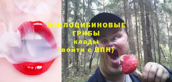 PSILOCYBIN Алексеевка