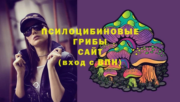PSILOCYBIN Алексеевка