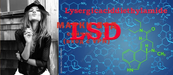 PSILOCYBIN Алзамай